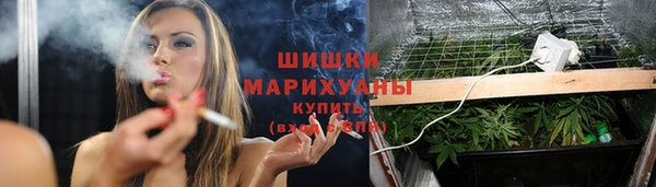 прущие крисы Сатка