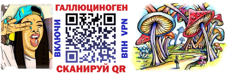 Псилоцибиновые грибы MAGIC MUSHROOMS  цены наркотик  Пионерский 