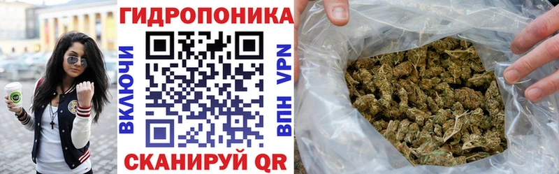 что такое наркотик  Пионерский  Бошки марихуана ГИДРОПОН 